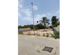 أرض for vendre in راسين - الدار البيضاء أرض for vendre in راسين - الدار البيضاء