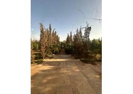 أرض for vendre in طريق فاس - مراكش