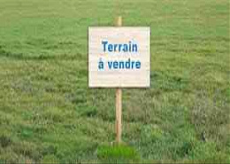 affaire a saisir: terrain titré de 10000 m²